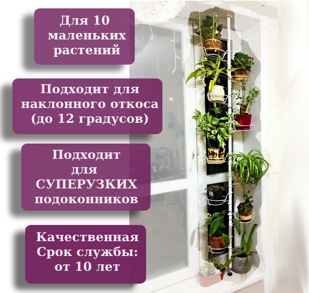 Распорка для маленьких растений Фиалочка. Фото N2